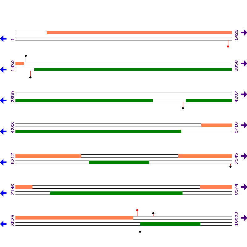 Genome View