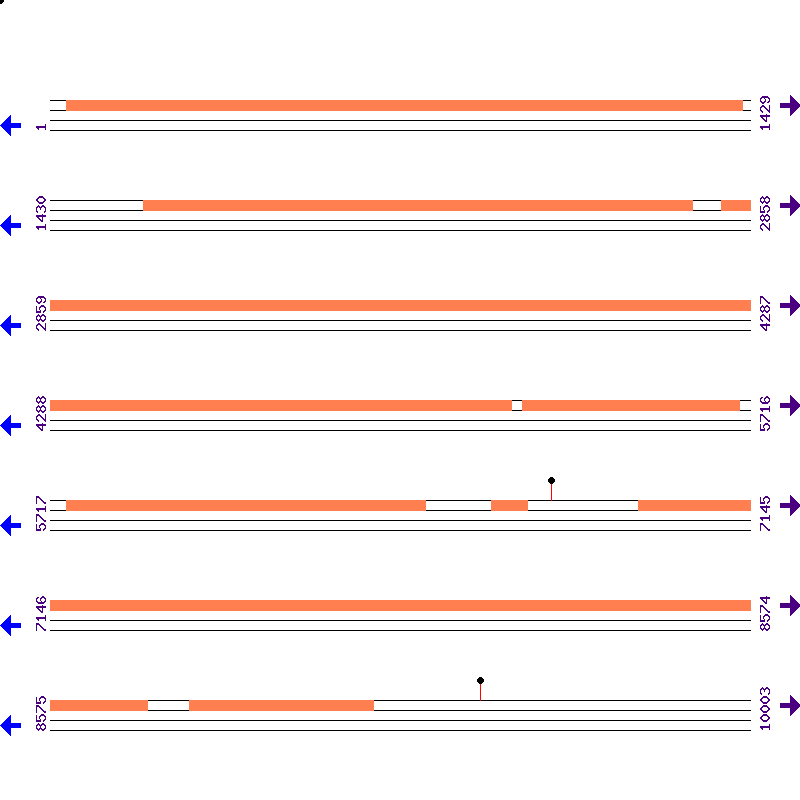Genome View