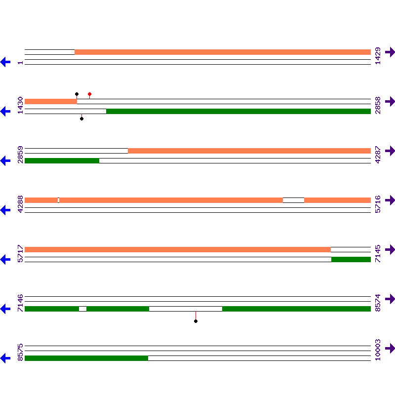 Genome View