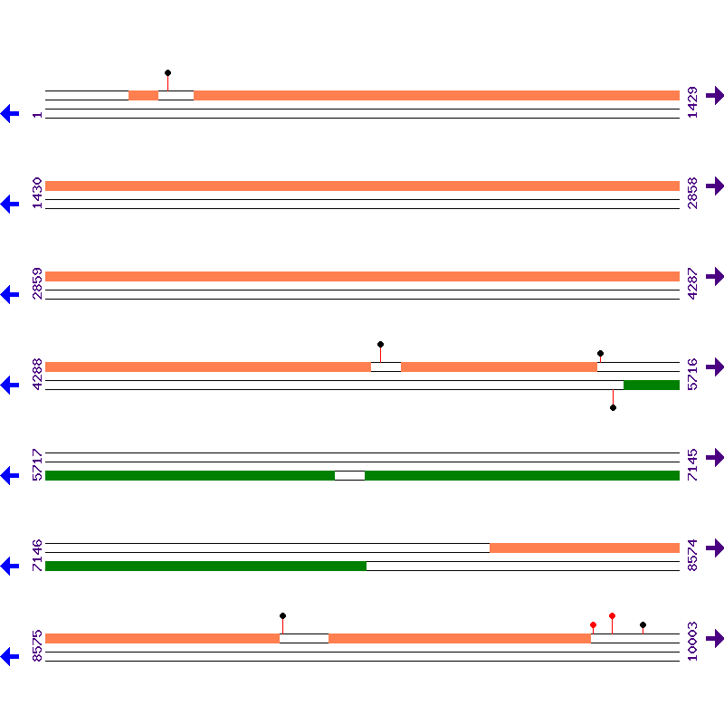 Genome View