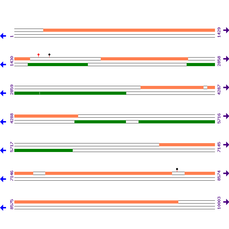 Genome View