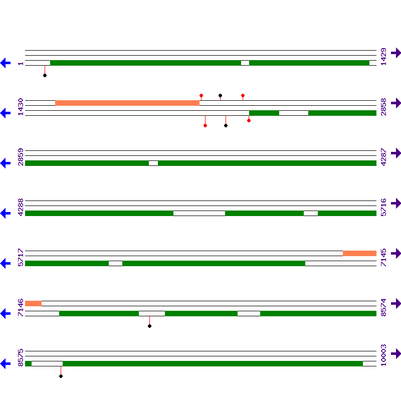 Genome View