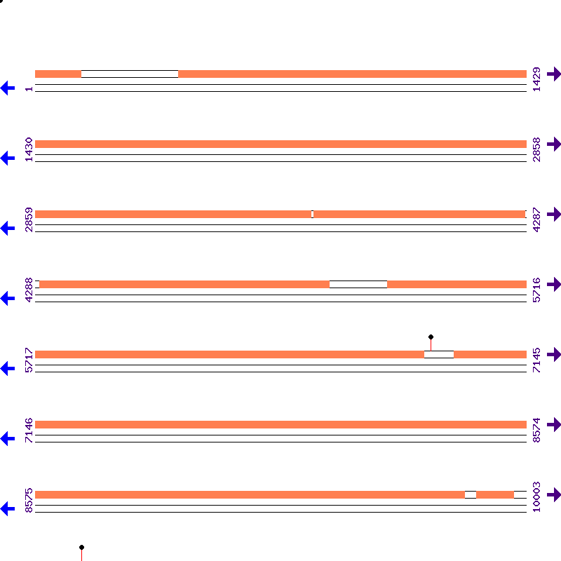 Genome View