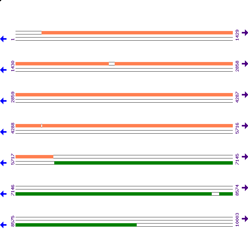 Genome View