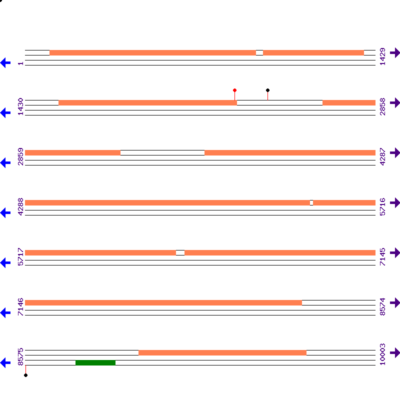 Genome View
