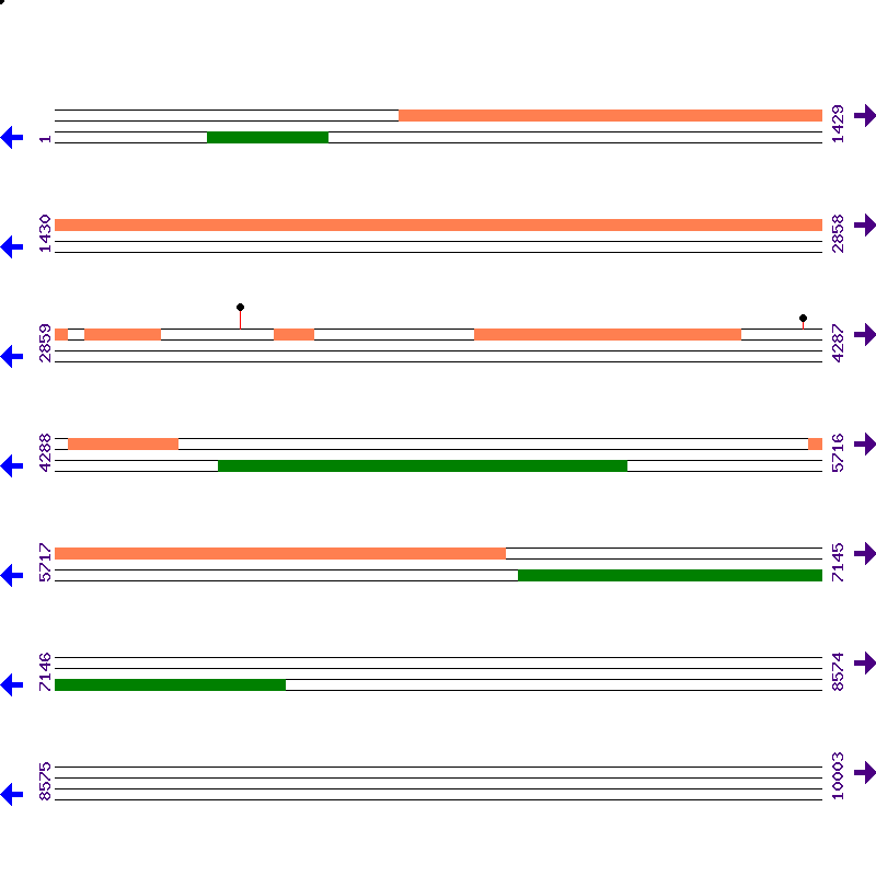 Genome View