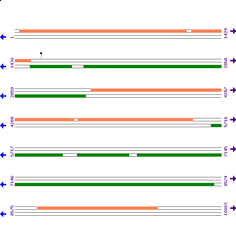 Genome View