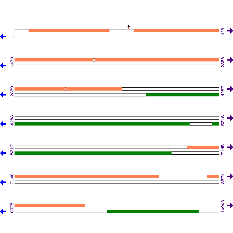 Genome View