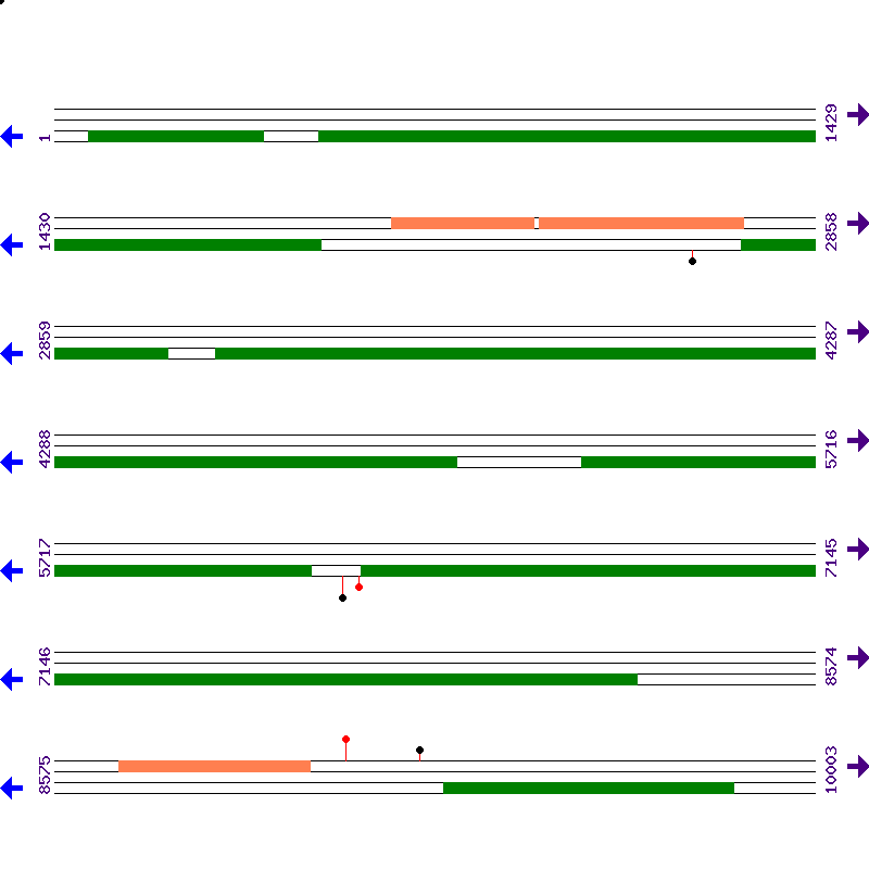 Genome View