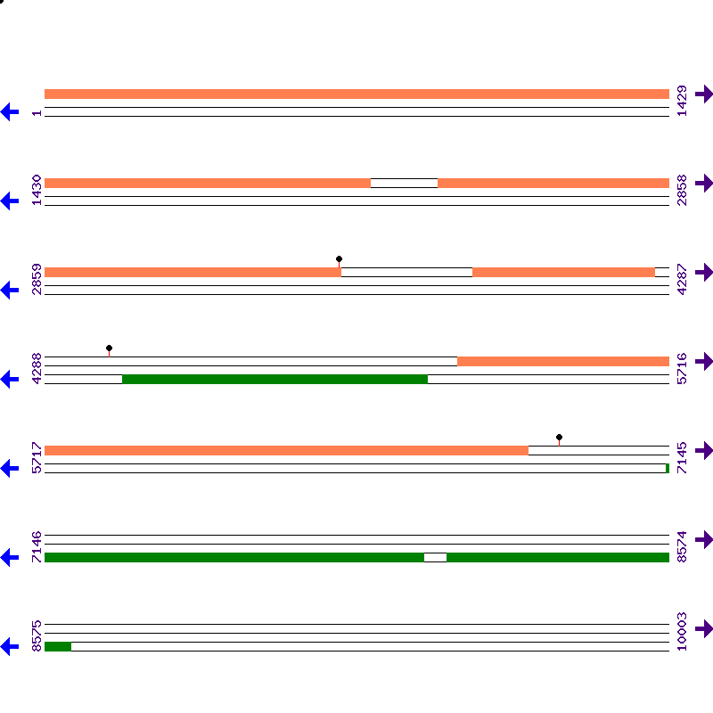 Genome View
