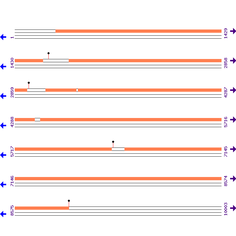 Genome View