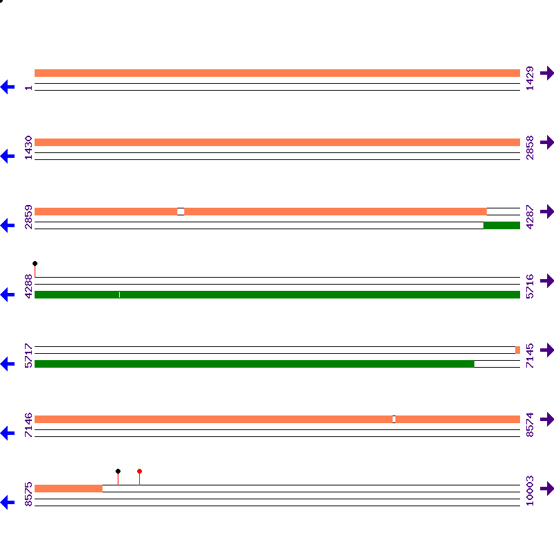 Genome View