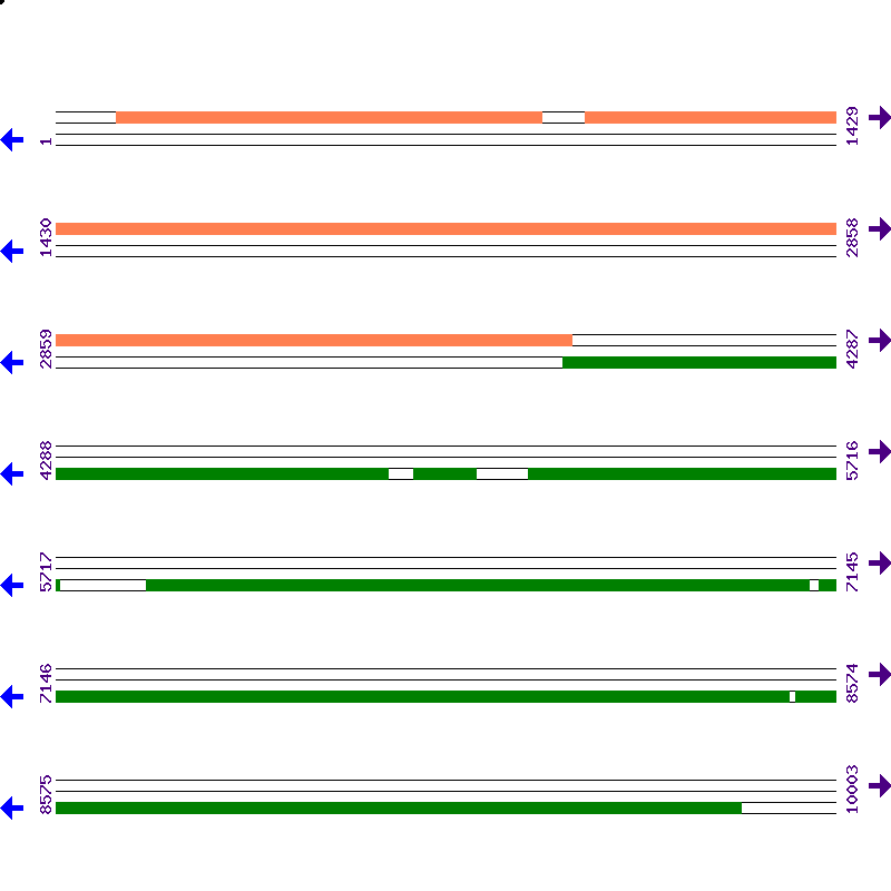 Genome View