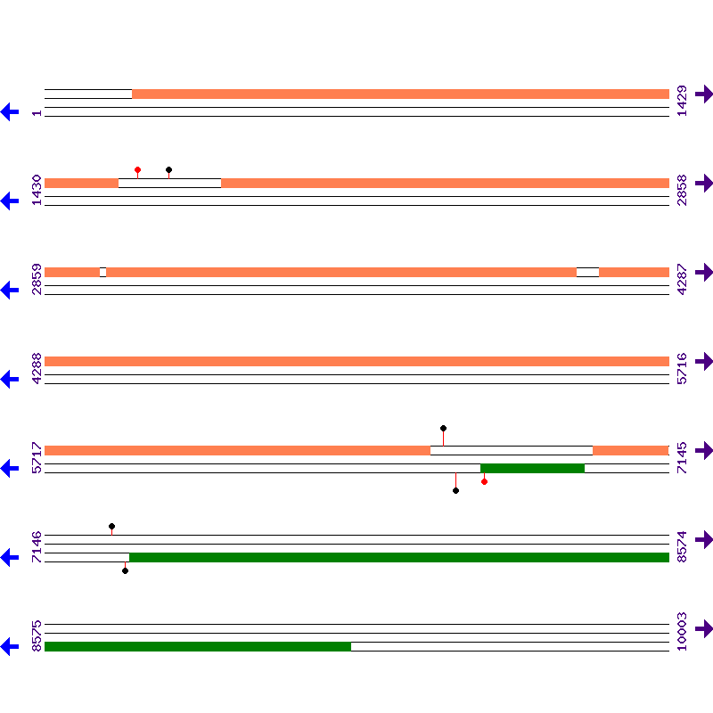 Genome View