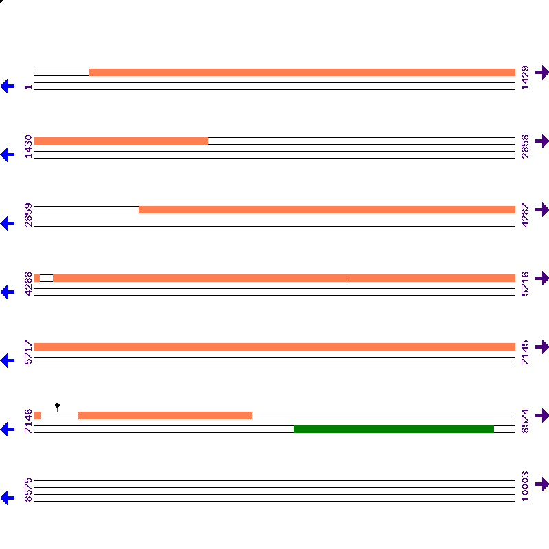 Genome View
