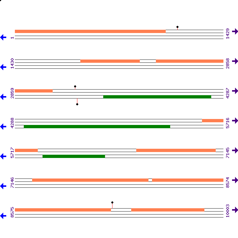 Genome View
