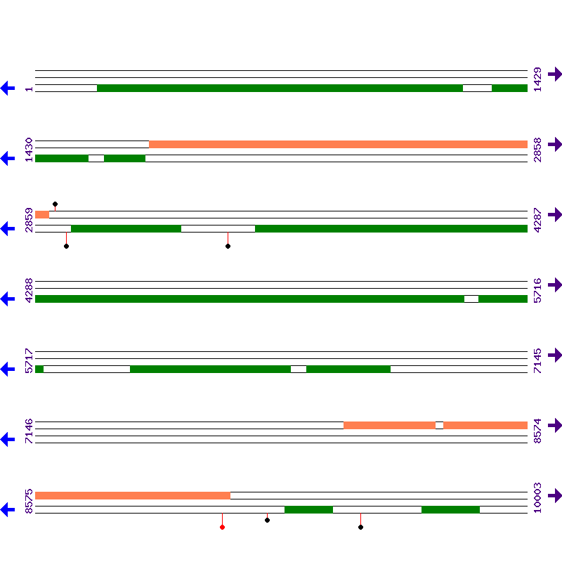 Genome View