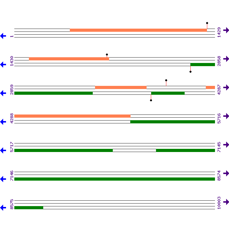 Genome View