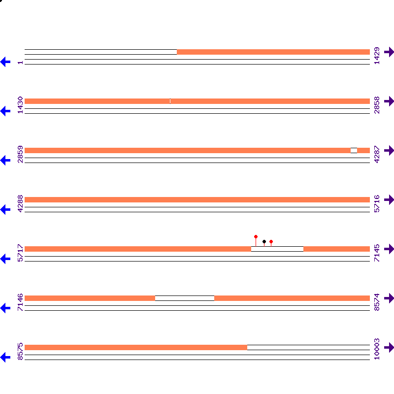 Genome View