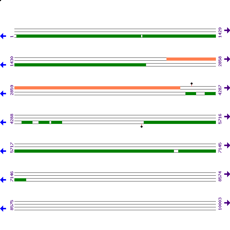 Genome View