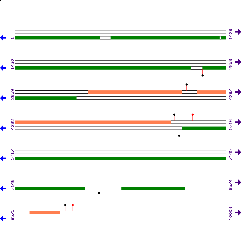Genome View