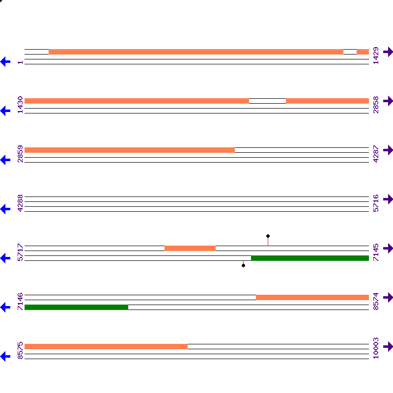 Genome View