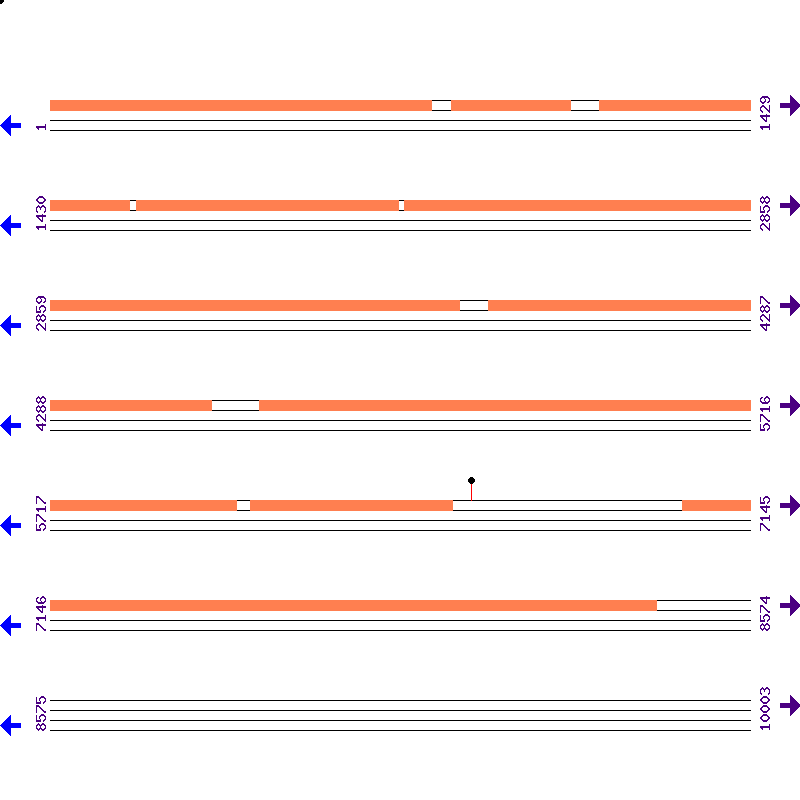 Genome View