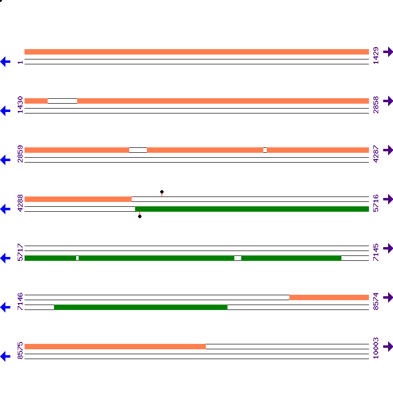 Genome View