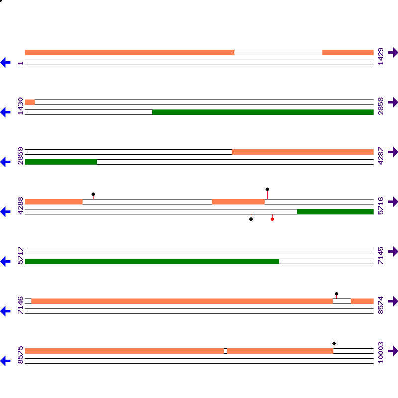 Genome View