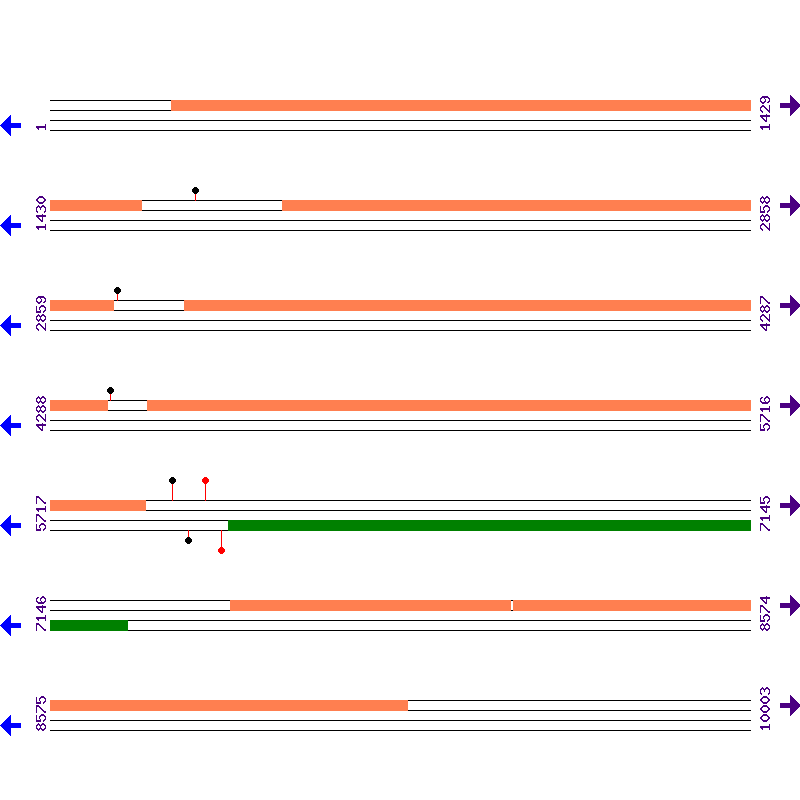 Genome View