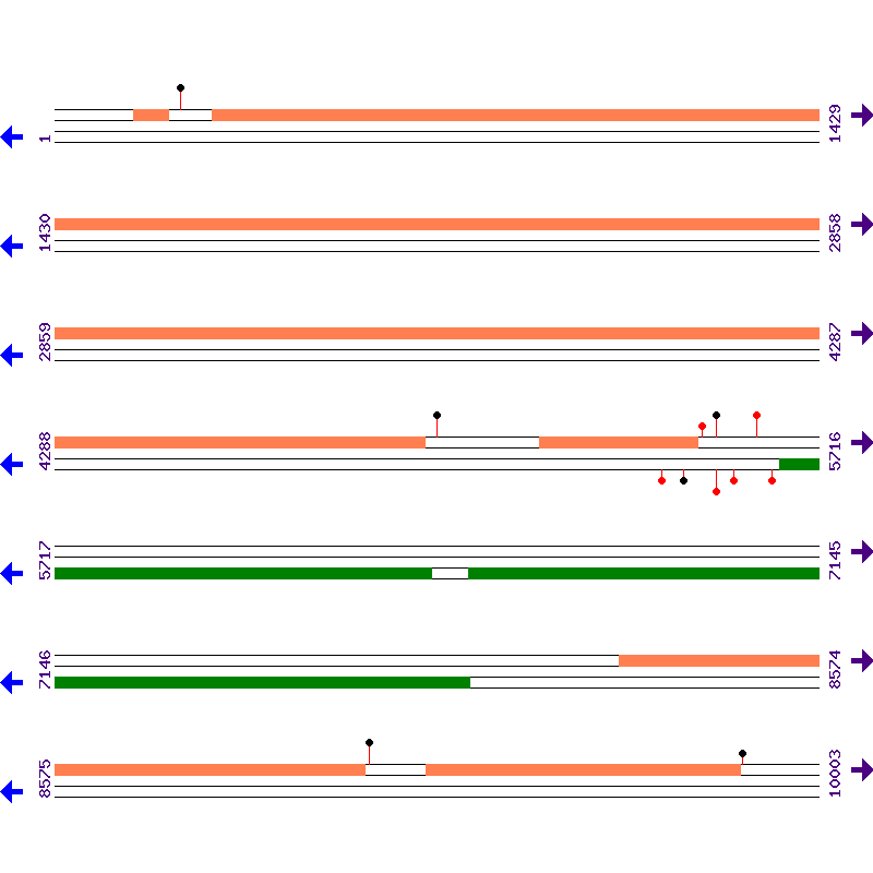Genome View