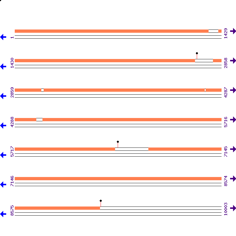 Genome View