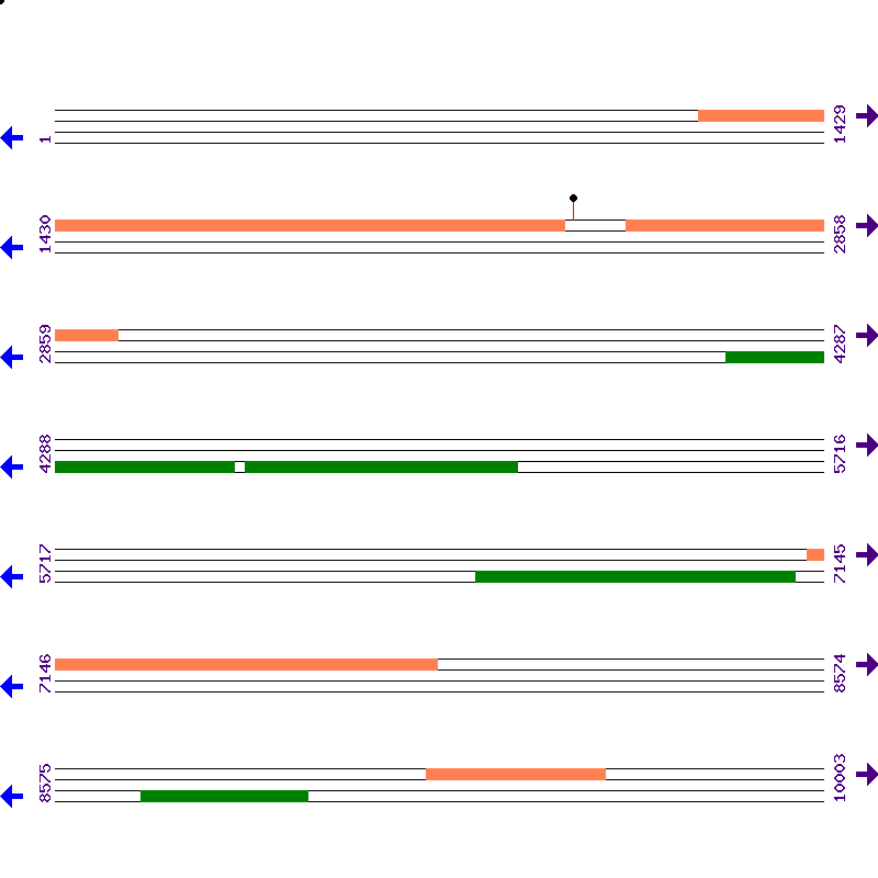 Genome View