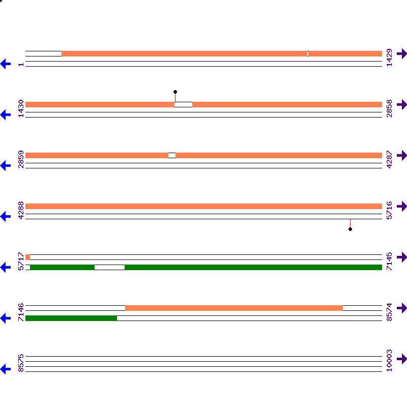 Genome View