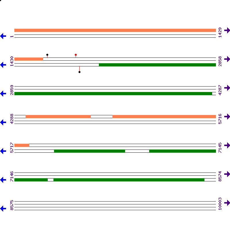 Genome View