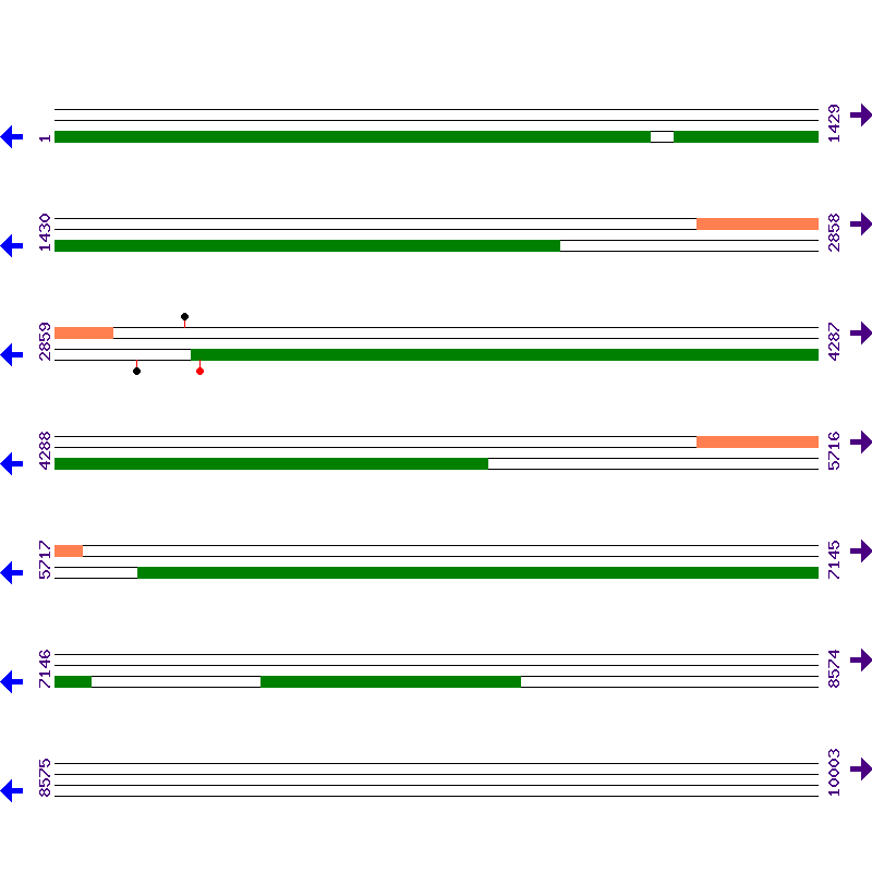 Genome View