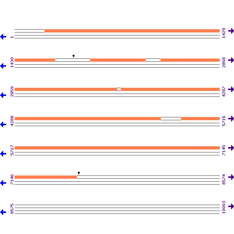 Genome View