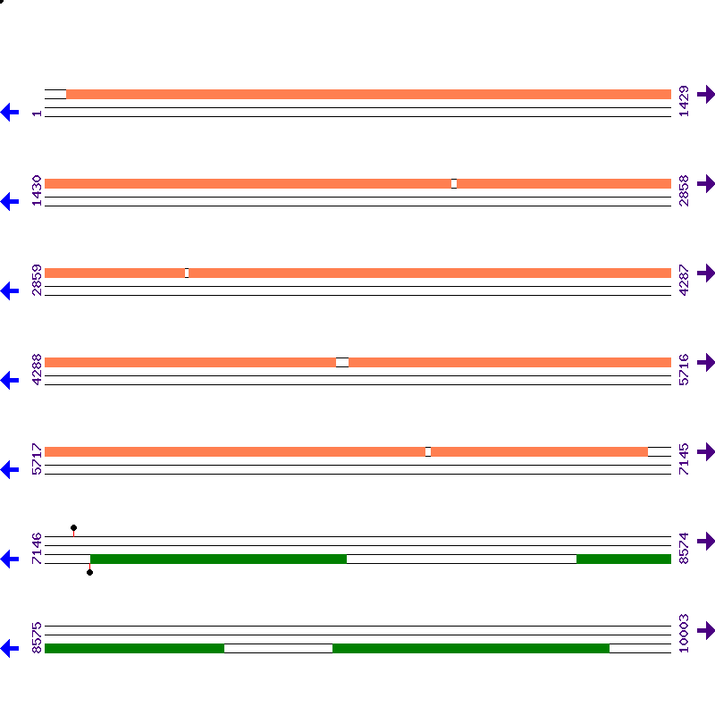 Genome View