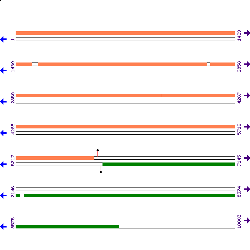 Genome View