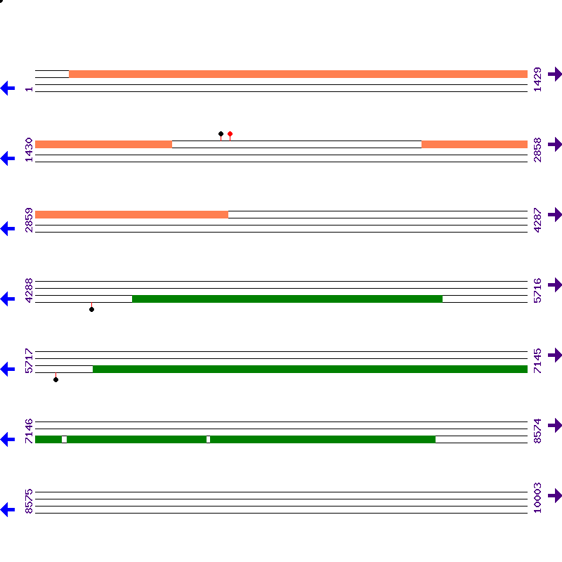 Genome View