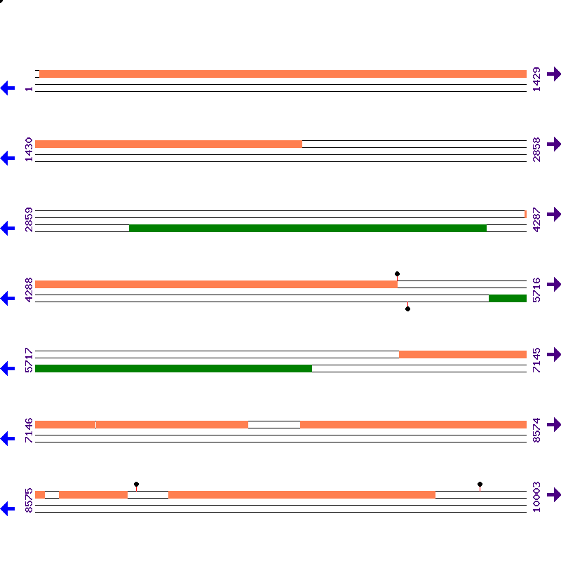 Genome View