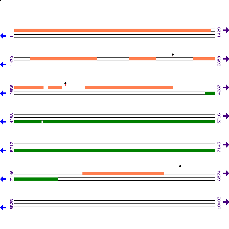 Genome View