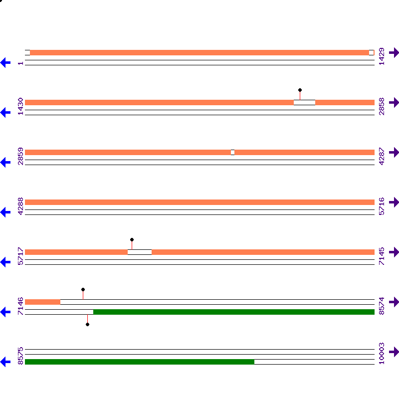 Genome View