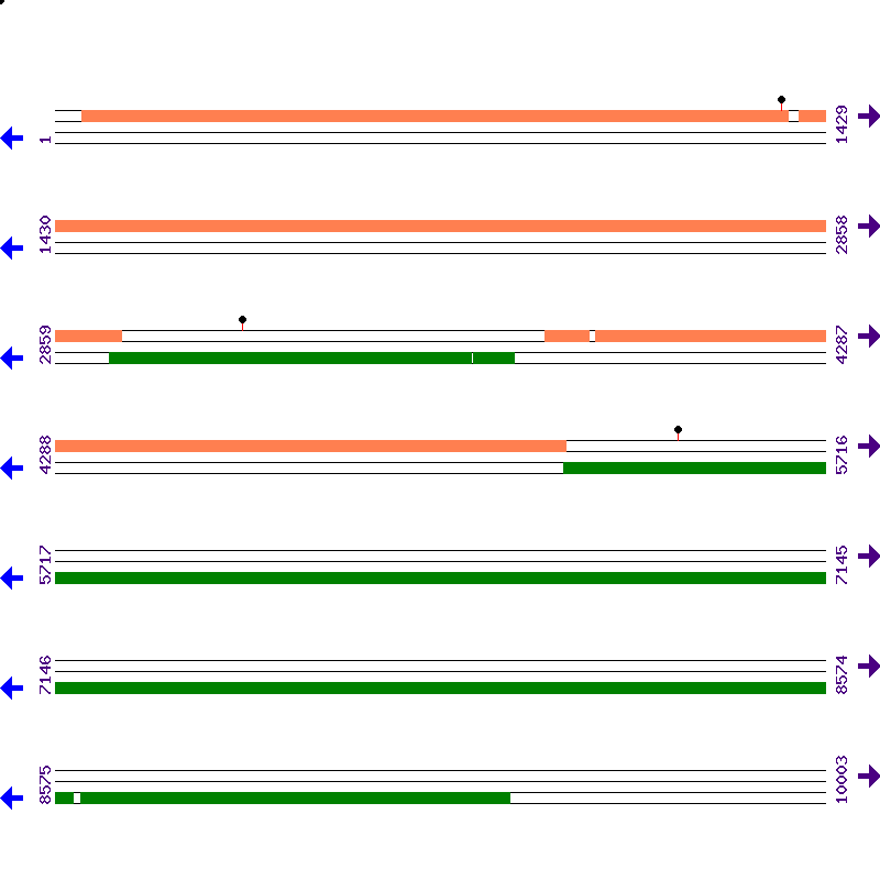 Genome View