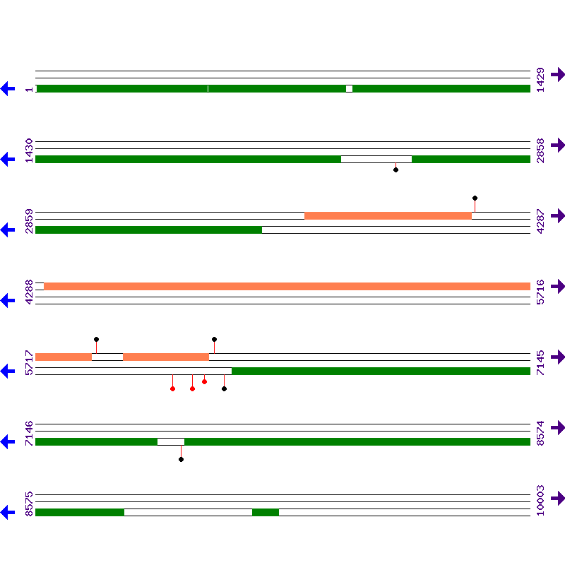 Genome View