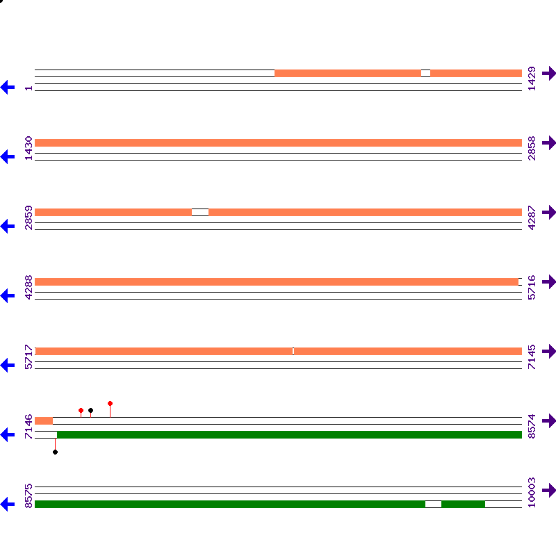 Genome View