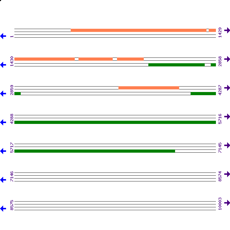 Genome View