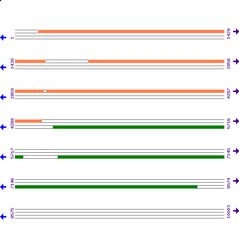 Genome View