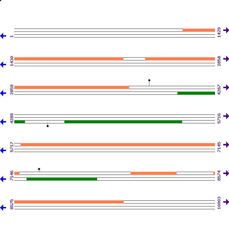 Genome View