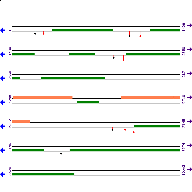 Genome View